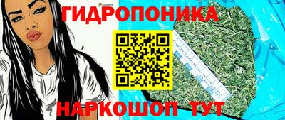 бошки Тверь